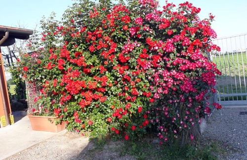 Castel Maggiore Bed & Breakfast | Al sit ed Marino