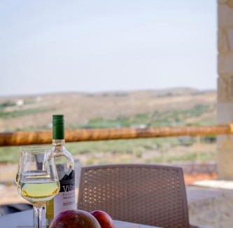 Nikos Kazantzakis Villa | Alagni Cretan Resort
