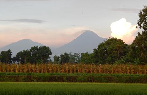 Sleman House | Alamanda Family Villas, Pool & Local Tours