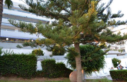 Agios Tychon Apartment | Alania Sea View Apartment