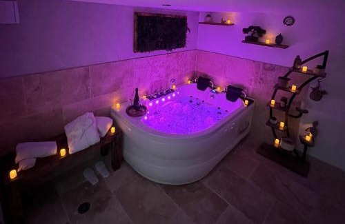 Villefranche-de-Lauragais House | Alba zen & spa