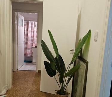 San Francisco Apartment | Alberdi Apart