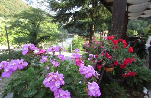 Pulfero Hotel | Albergo Alla Trota