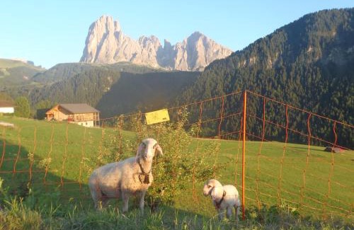 Ortisei Hotel | Albergo Somont