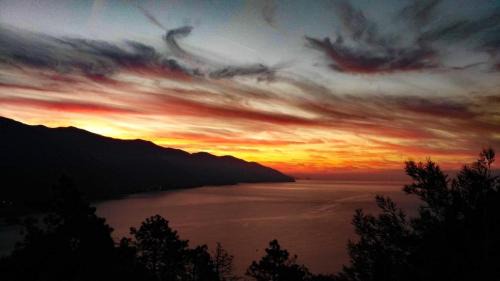 Cinque Terre Hotel | Albergo Suisse Bellevue