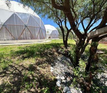 Hidalgo Other | Aldea Hualtepec Glamping