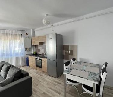 Nord-Est Apartment | Alex 3 Apartament
