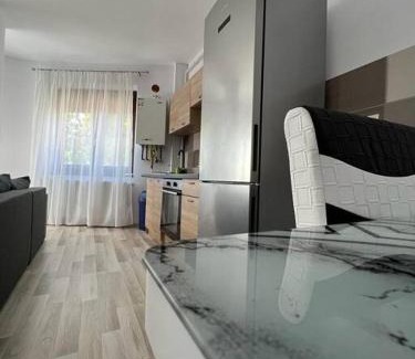Nord-Est Apartment | Alex 3 Apartament