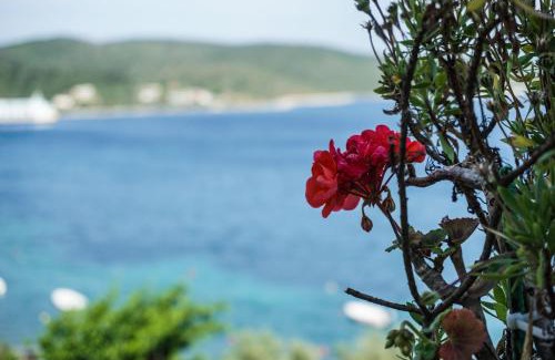 Glyfa Apartment | Alexandra's Glifa Apartments