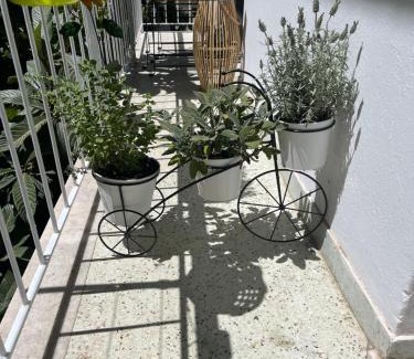 Goudi Apartment | Alex’s home next to Laiko