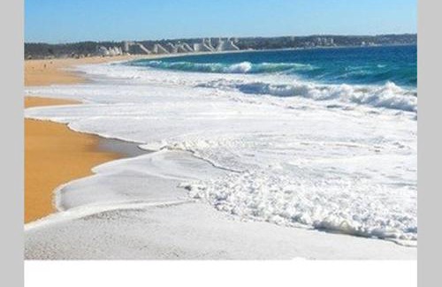 Mirasol Apartment | Algarrobo Norte Apartmento
