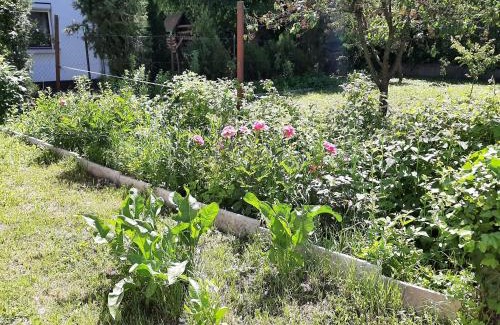 Sashalom House | All-in-a Good Space