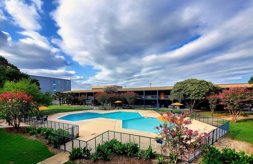 St. Johns Apartment | All Inclusive Studio that can sleep up to 4 people! Pool, Gym & Laundry onsite.