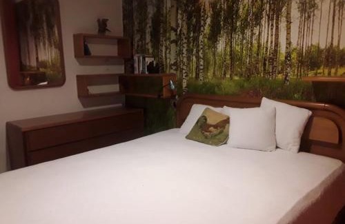 Meldola Bed & Breakfast | All'Ovile