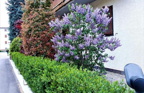 Cavedago Apartment | Alla casa del cedro