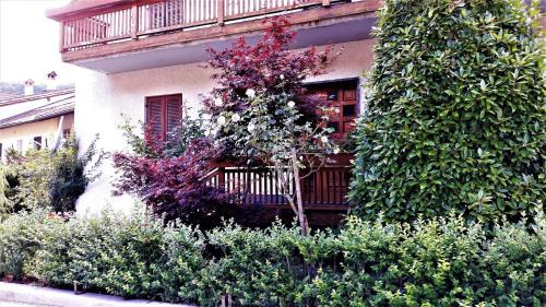 Cavedago Apartment | Alla casa del cedro