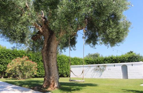 Fasano House | AllaTorretta23