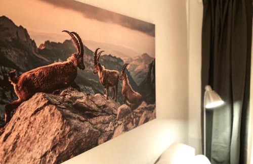 Irsengund Apartment | Allgäu Neschd