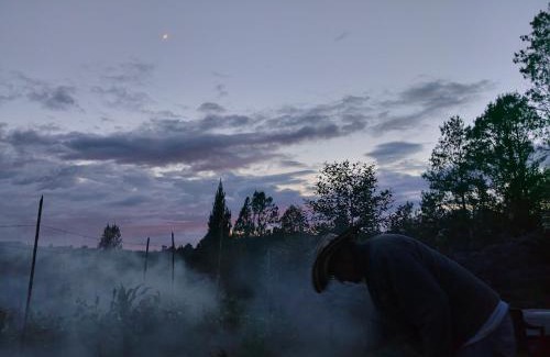 Guarne House | Alma Casa Finca