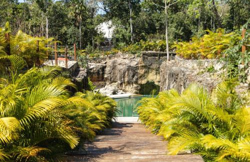 Benito Juarez Resort | Alma Maya Resort - Riviera Maya