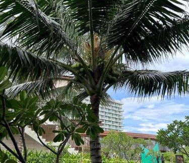 Mang Yang Resort | Alma Resort Cam Ranh