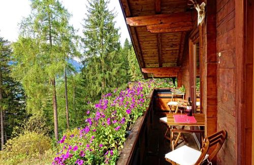 Grosskirchheim House | Almchalet Goldbergleiten
