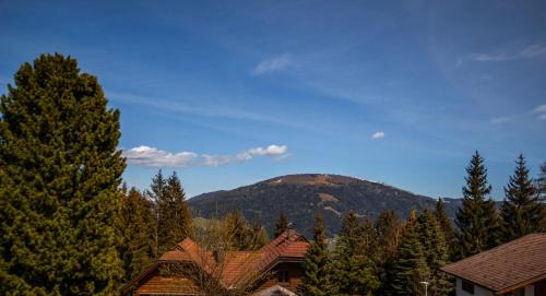 Treffen House | Almhaus Frierss
