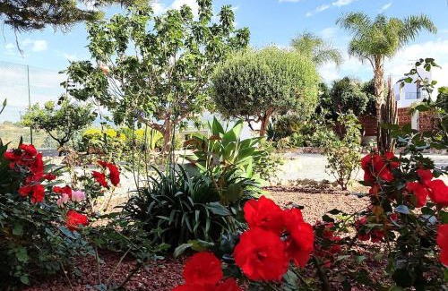 Nerja Apartment | Almijara 7 Apartamento con vistas, piscina y tenis