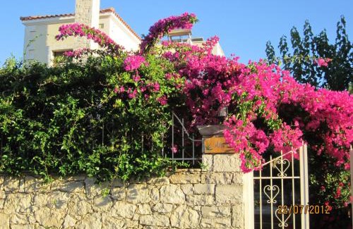Prines Villa | Aloe & Lotus Villas