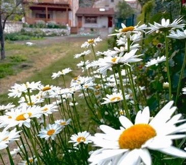 Aldeasona House | Alojamiento Gaia