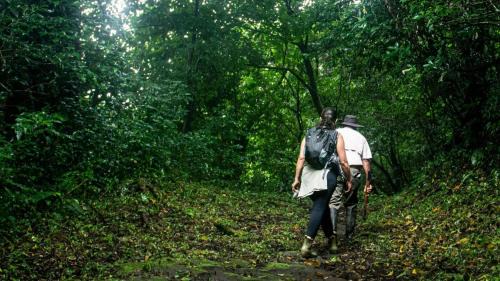 Pacuare Reserve Bed & Breakfast | Alojamiento OYE