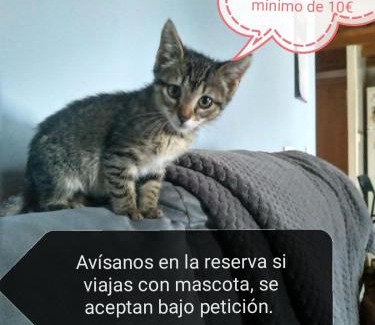 Distrito Oeste Apartment | Alojamiento Quintanilla