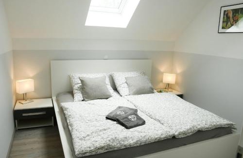 Taura Apartment | Alpakas im Chemnitztal