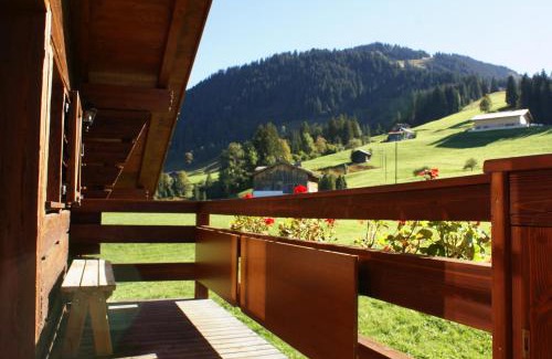 Zweisimmen Nr Gstaad Apartment | Alpenchalet Weidhaus Gstaad