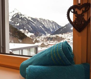 Sankt Gallenkirch Apartment | Alpenstern Apartment Montafon