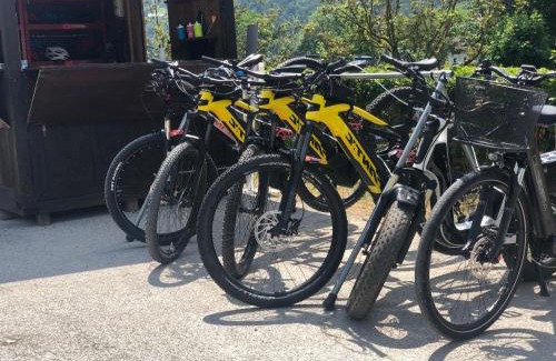 Ledro Hotel | ALPieve Albergo Pieve