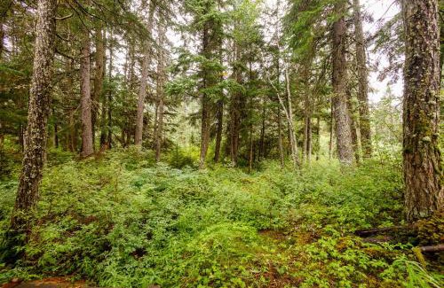 Alyeska House | Alpina Cabin
