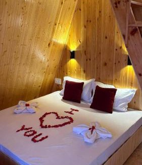 Shangarh House | Alpine Lodge And Stays