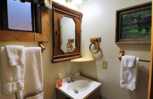 Helen Apartment | Alpine Mountain Studio Fireplace Helen #4