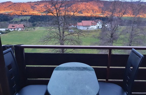 Sigmarszell Apartment | alpine view