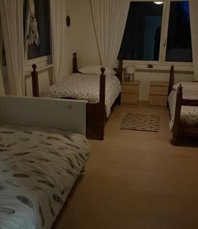 Lugnorre Hotel | Alps and Lakeview Villa with Pool
