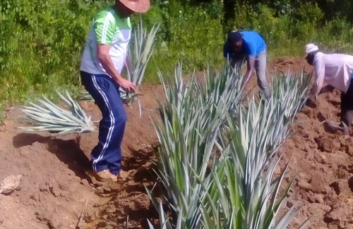 Monte Plata Other | Alquiler de Finca o Villa