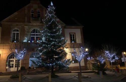 Grendelbruch Apartment | Alsace Randonnee ou Ski Bel appartement