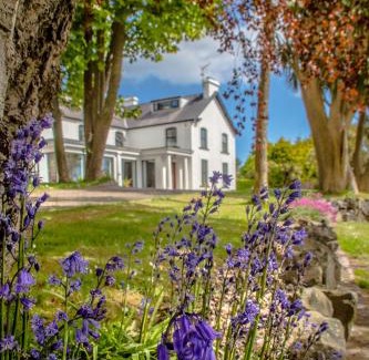 Whitehead Bed & Breakfast | Altahammond House