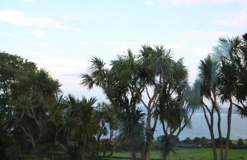 Whitehead Bed & Breakfast | Altahammond House