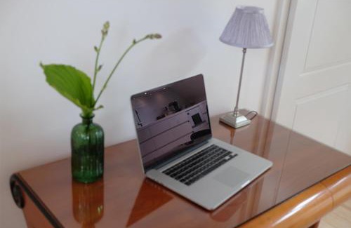 Langensteinbach Apartment | Alte Apotheke - Studio Appartements Karlsbad