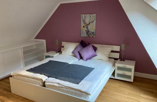 Heidelberg City Centre Apartment | Alte Brücke
