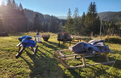 Feldberg Apartment | Alte Schmiede