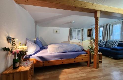 Feldberg Apartment | Alte Schmiede