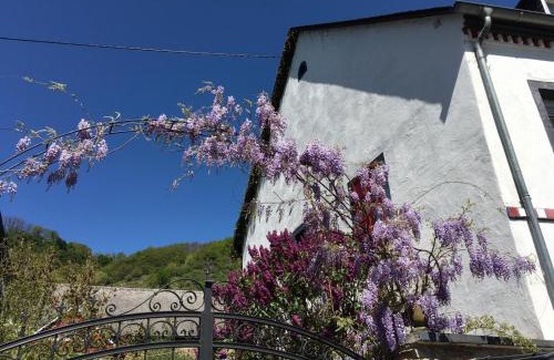 Hatzenport House | Alter Winzerhof